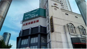 某鋼網(wǎng)架專項(xiàng)質(zhì)量檢測