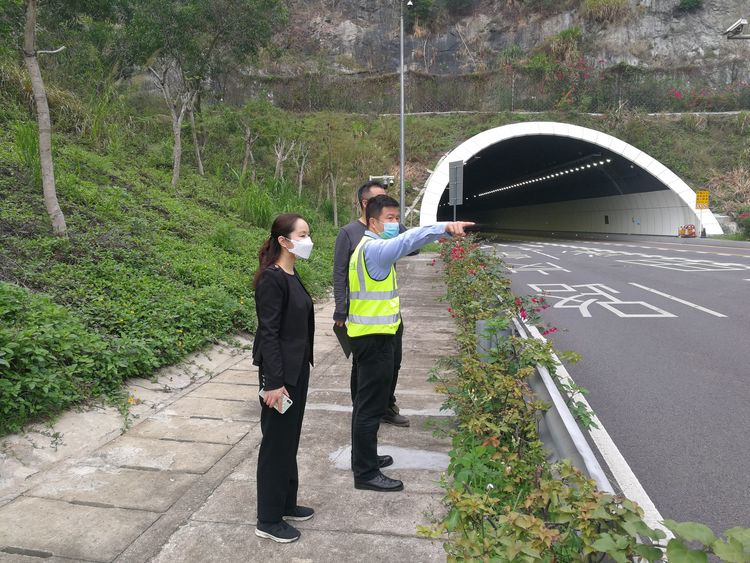 隧道施工超前地質(zhì)預報